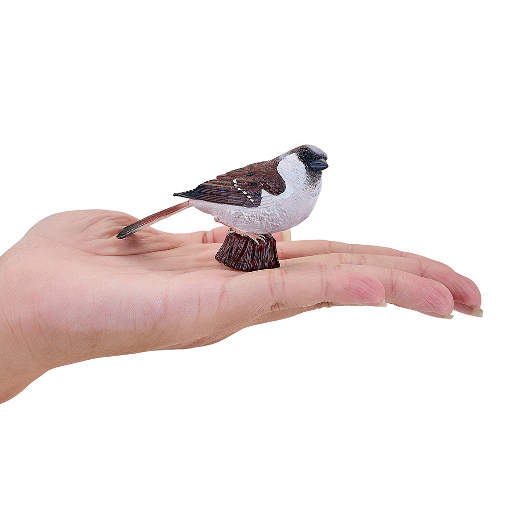 302-MOJ381114 Mojo - House Sparrow_03.jpg
