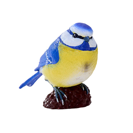 302-MOJ381115 Mojo - Blue Tit_01.jpg