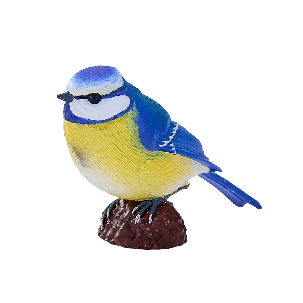 302-MOJ381115 Mojo - Blue Tit_02.jpg