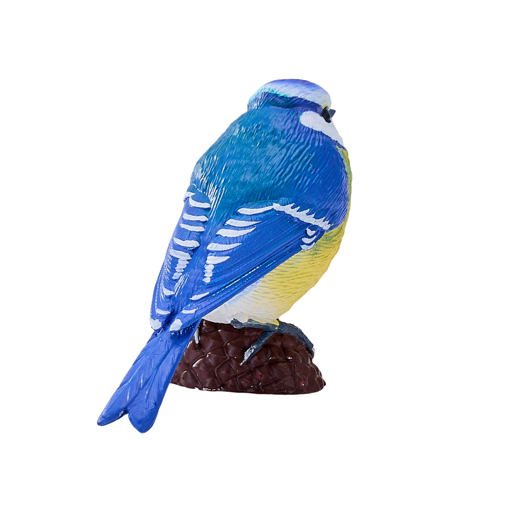 302-MOJ381115 Mojo - Blue Tit_03.jpg