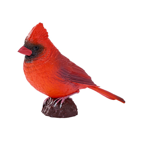 302-MOJ381117 Mojo - Red Cardinal_01.jpg