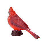 302-MOJ381117 Mojo - Red Cardinal_02.jpg