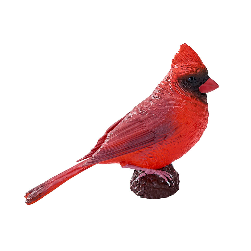 302-MOJ381117 Mojo - Red Cardinal_04.jpg