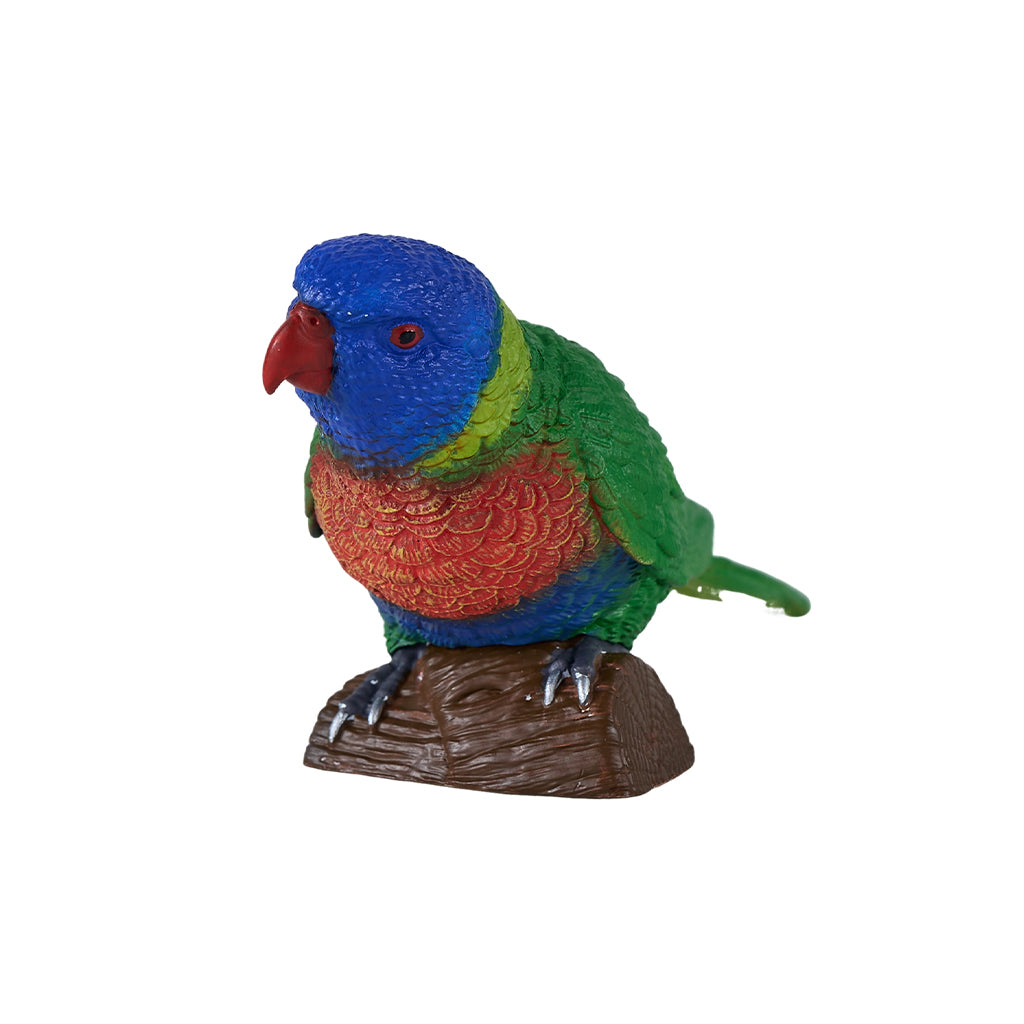 302-MOJ381150 Mojo - Rainbow Lorikeet_02.jpg