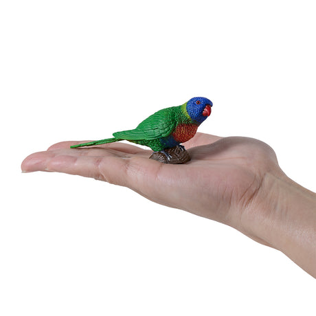 302-MOJ381150 Mojo - Rainbow Lorikeet_04.jpg