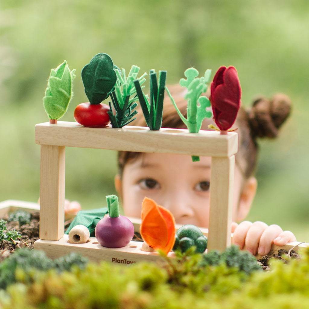 302-PT2602 PlanToys - Build-a-Garden - Stack & Sprout_04.jpg