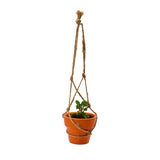 302-PT2606 PlanToys - Plant Pots Trio_04.jpg