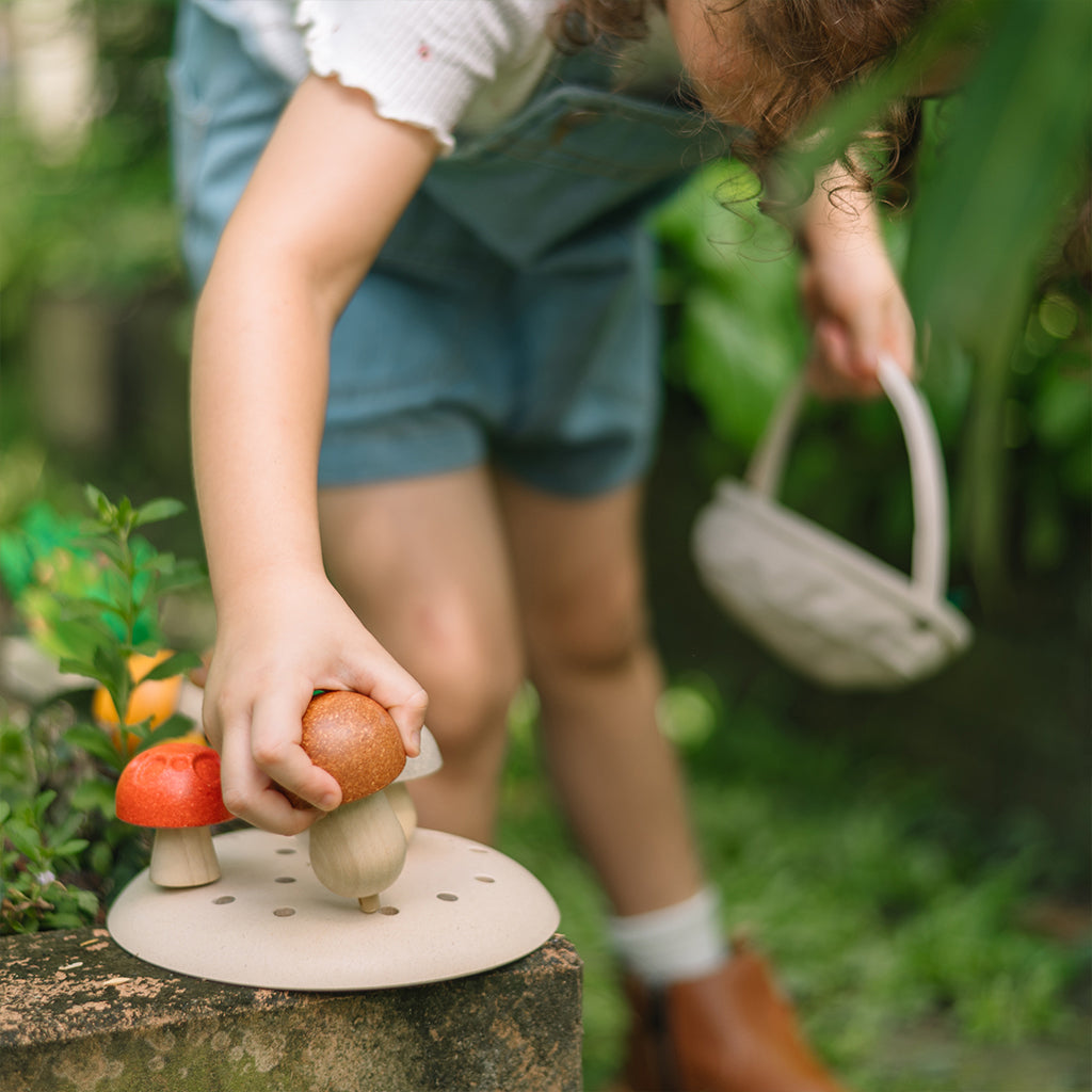 302-PT2607 PlanToys - Play & Pick Mushrooms_06.jpg