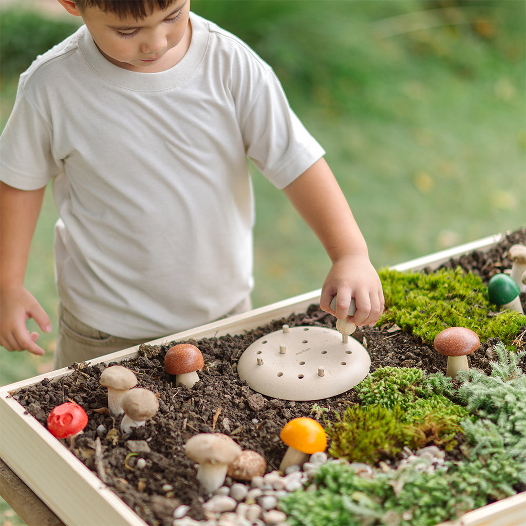 302-PT2607 PlanToys - Play & Pick Mushrooms_07.jpg