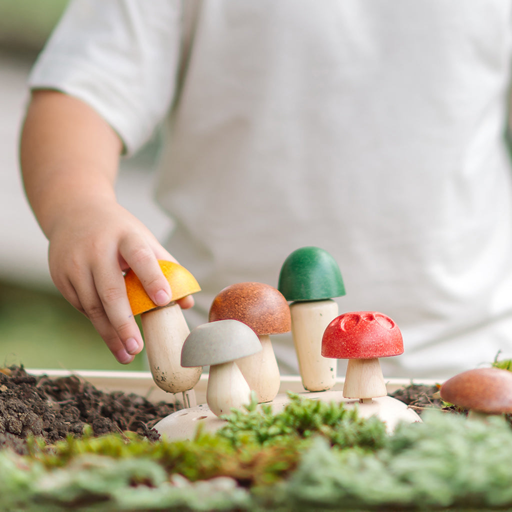 302-PT2607 PlanToys - Play & Pick Mushrooms_08.jpg