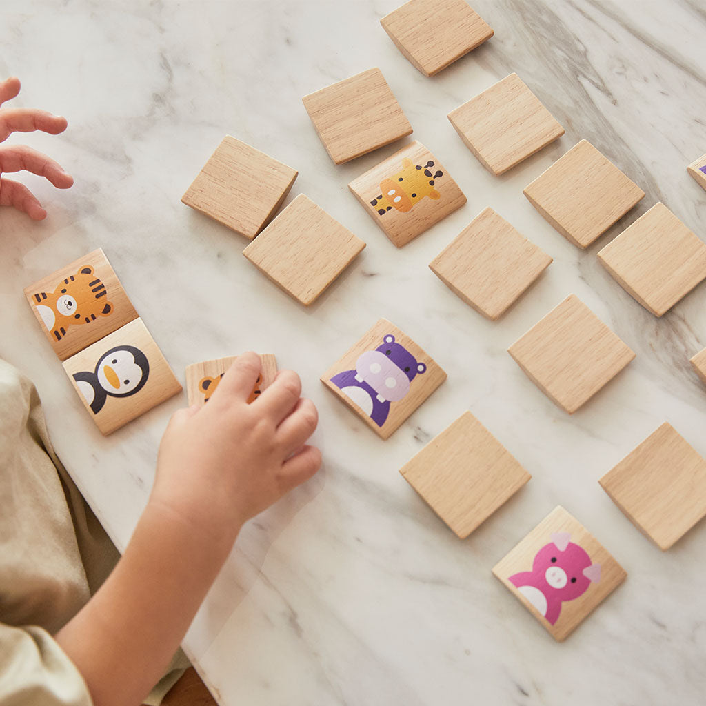 PlanToys - Animals Matching