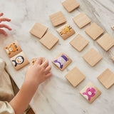 PlanToys - Animals Matching