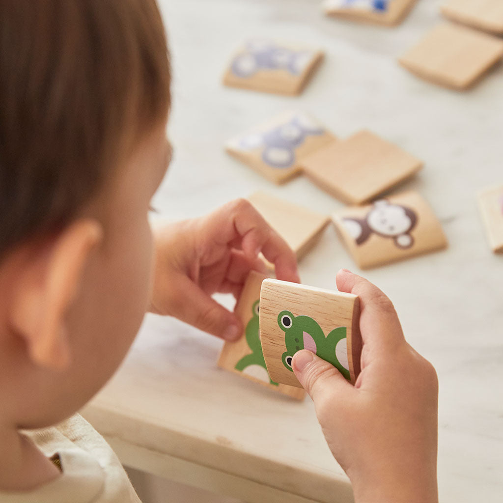 PlanToys - Animals Matching