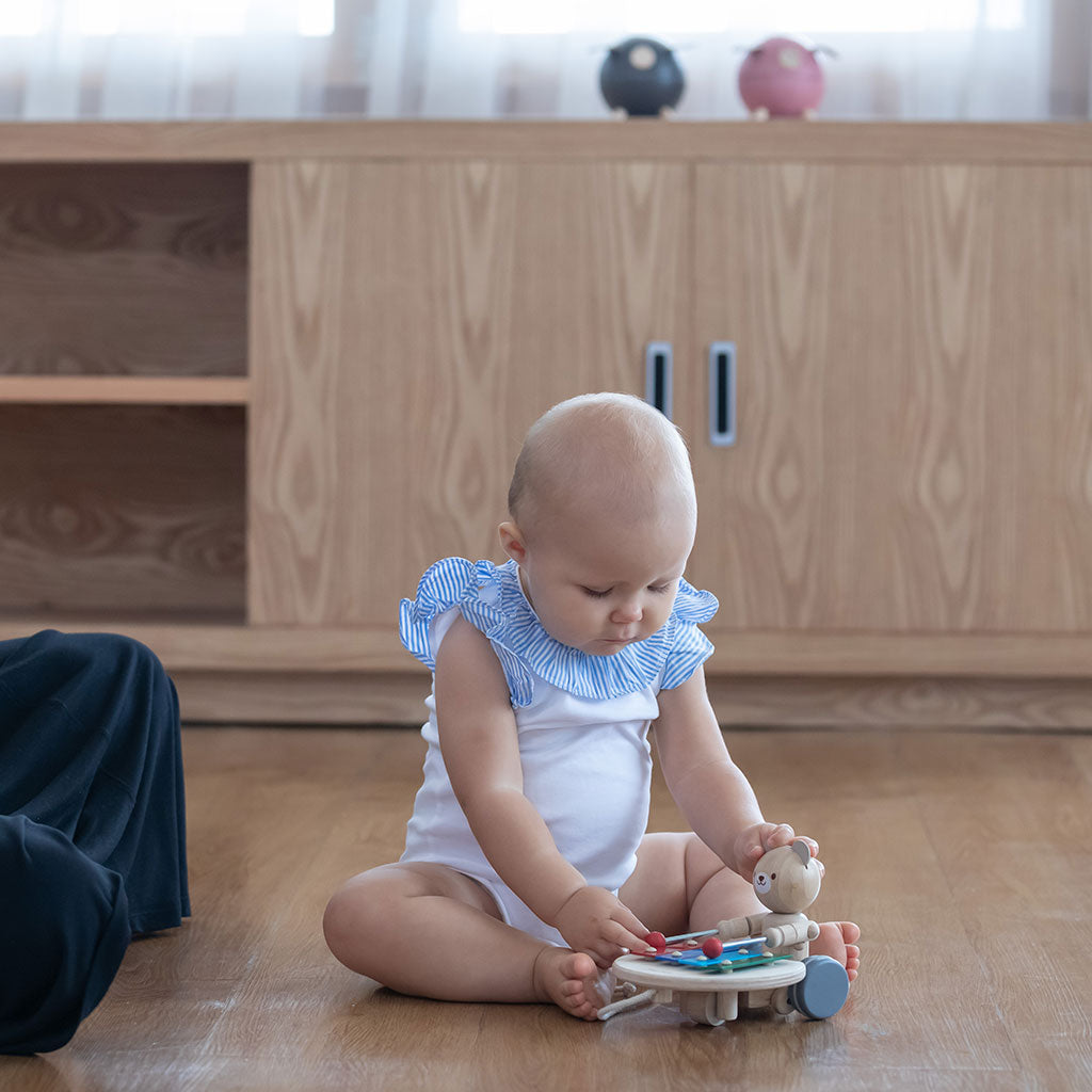 PlanToys - Pull-Along Musical Bear