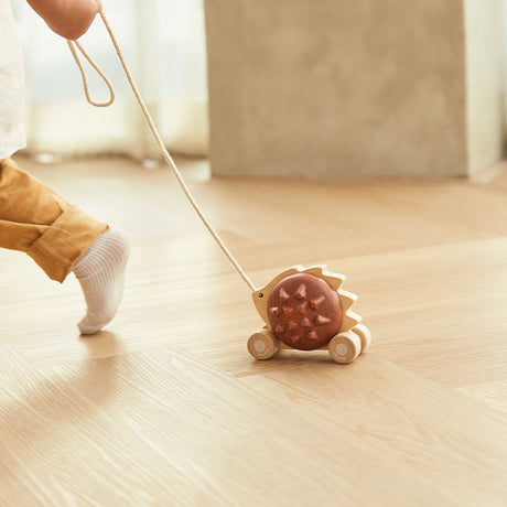 PlanToys - Pull-Along Hedgehog - Educating Kids
