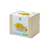 PlanToys - Ocean Submarine