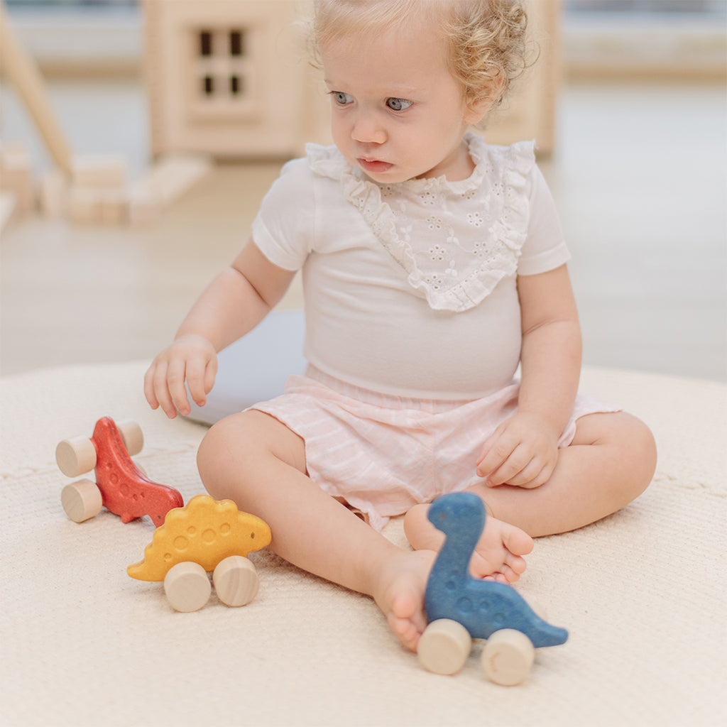 302-PT5906 PlanToys - Montessori-Inspired Dino Stego Car_05.jpg