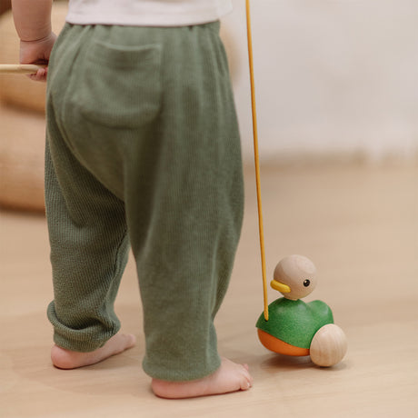 302-PT5907 PlanToys - Montessori-Inspired Pull-Along Duck_07.jpg
