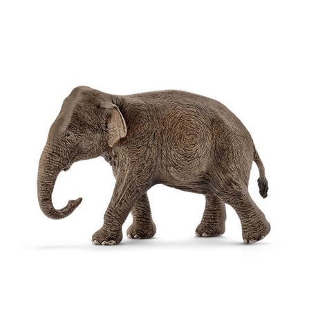 Schleich - Asian Elephant Female - Educating Kids