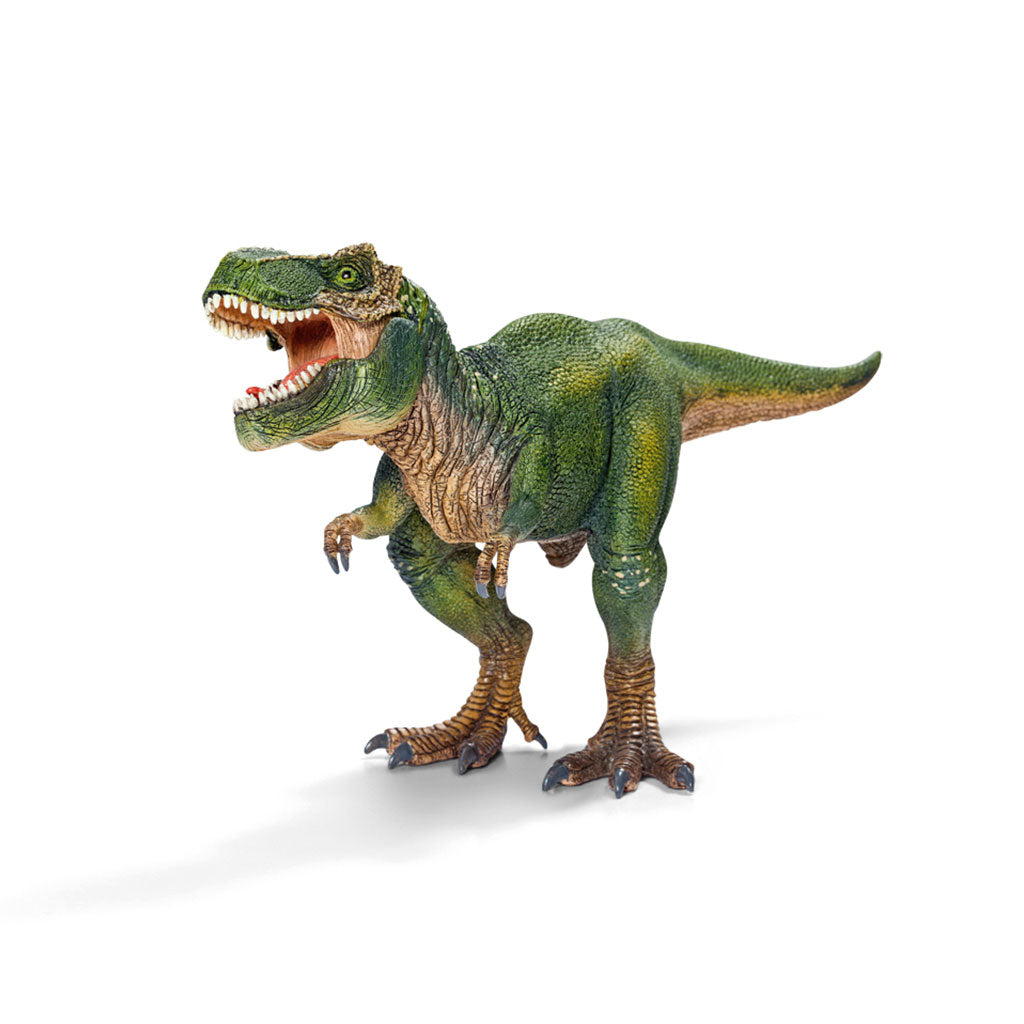 Schleich - Dinosaurs Large - 5pc
