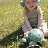 Viking Toys - Reline Pull-Along Turtle