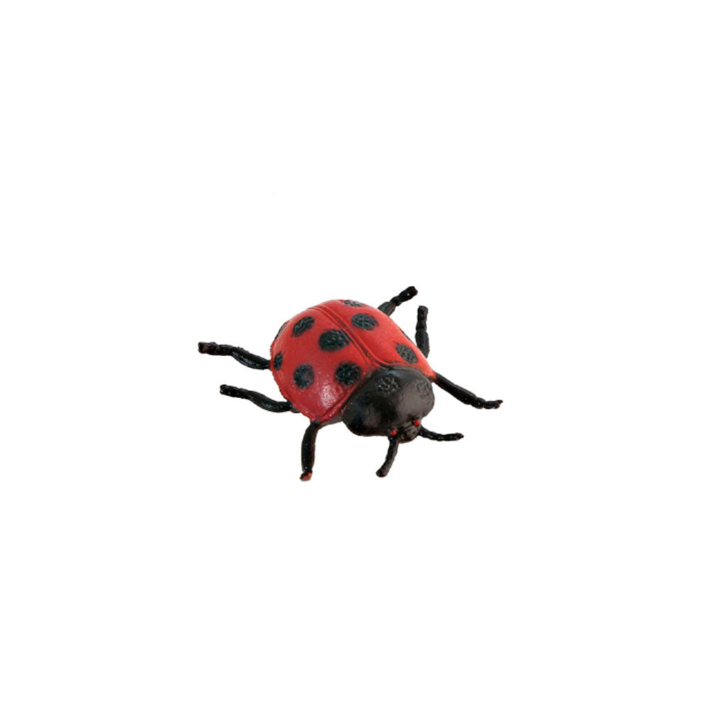 Insects - Set of 12