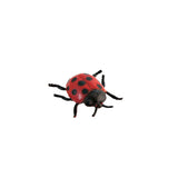 Insects - Set of 12