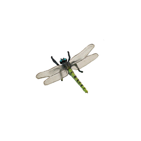Insects - Set of 12