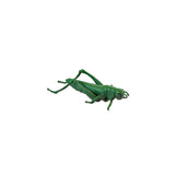Insects - Set of 12