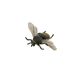 Insects - Set of 12
