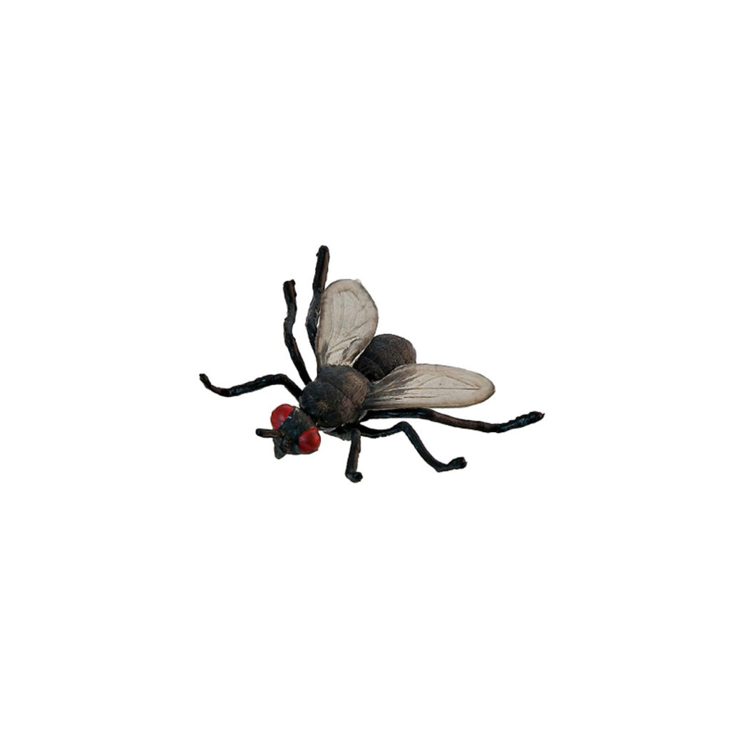Insects - Set of 12