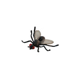 Insects - Set of 12