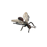 Insects - Set of 12
