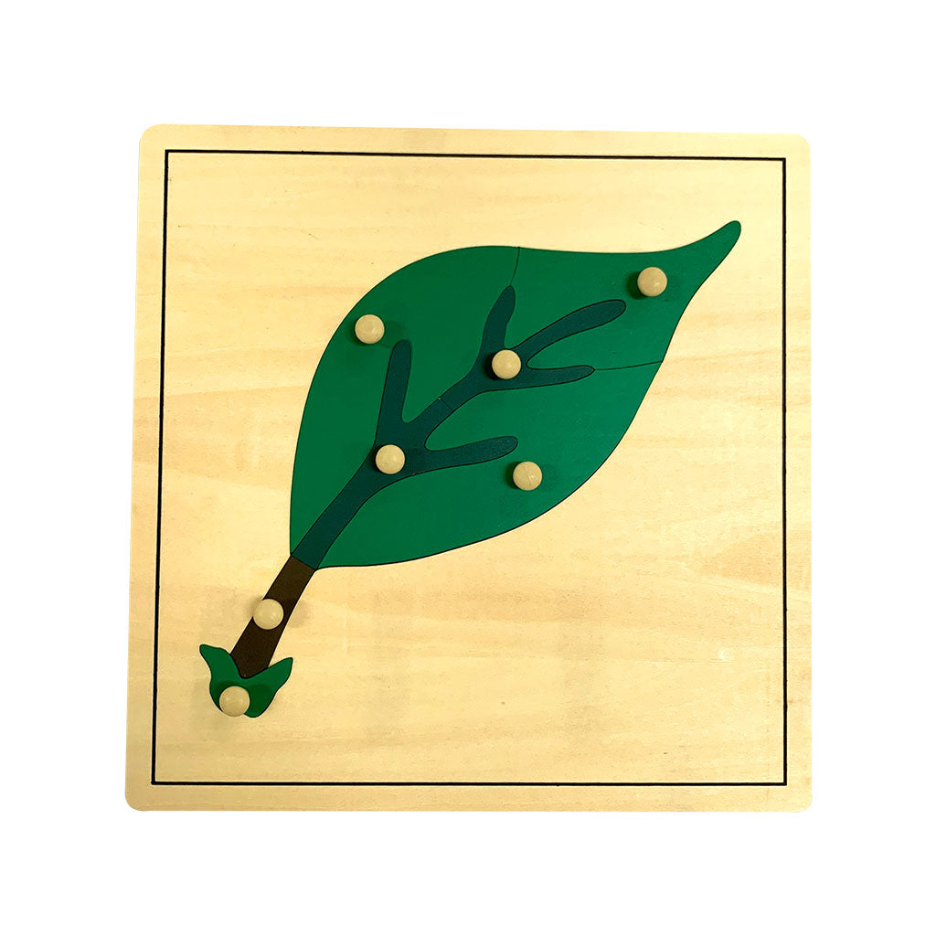 Leaf Puzzle
