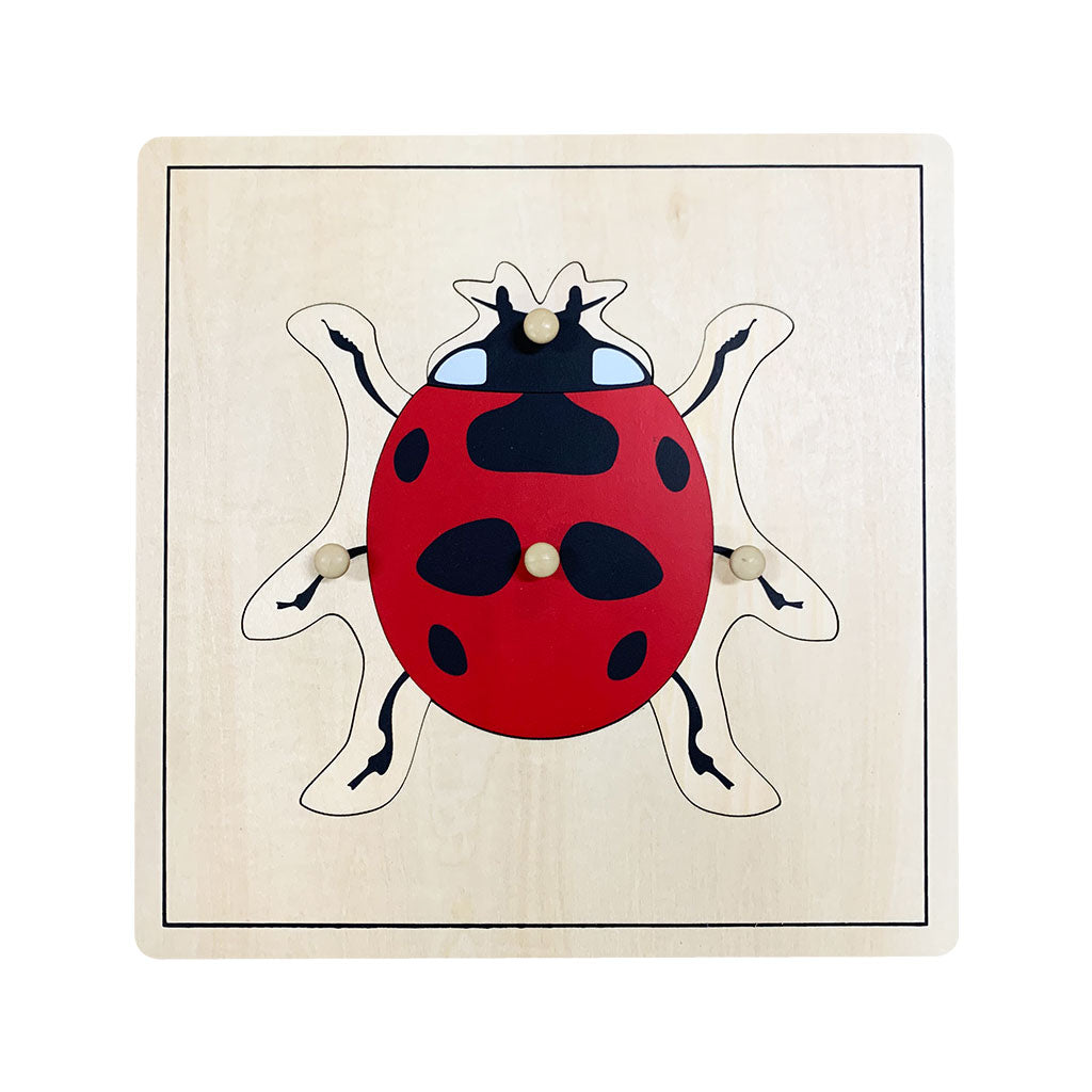 Ladybug Puzzle