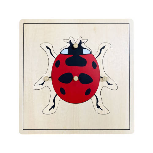 Ladybug Puzzle