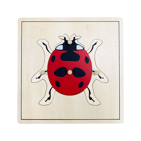 318-BOTA022_ladybug-puzzle_01_large.jpg