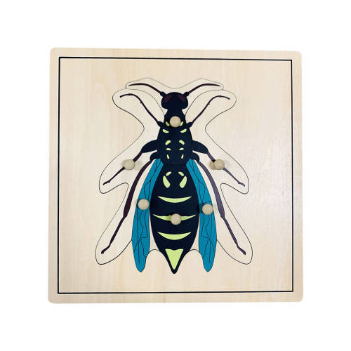 Wasp Puzzle - Educating Kids