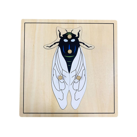 318-BOTA025_fly-puzzle_01_large.jpg