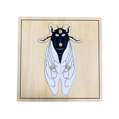 Fly Puzzle