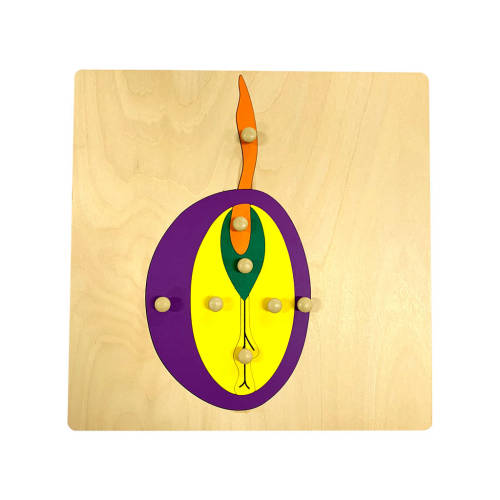 Seed Puzzle