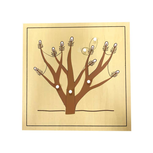 Root Puzzle