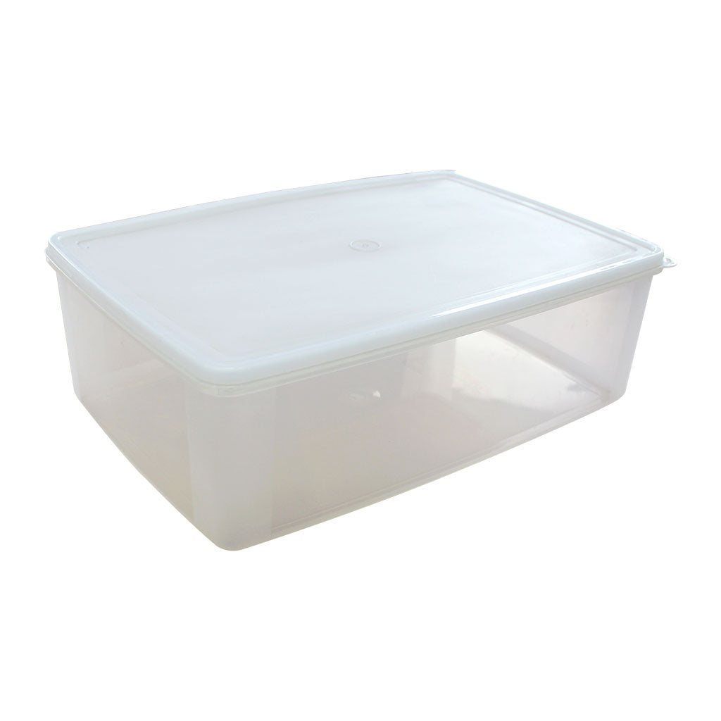 Clear Storage Container - Large