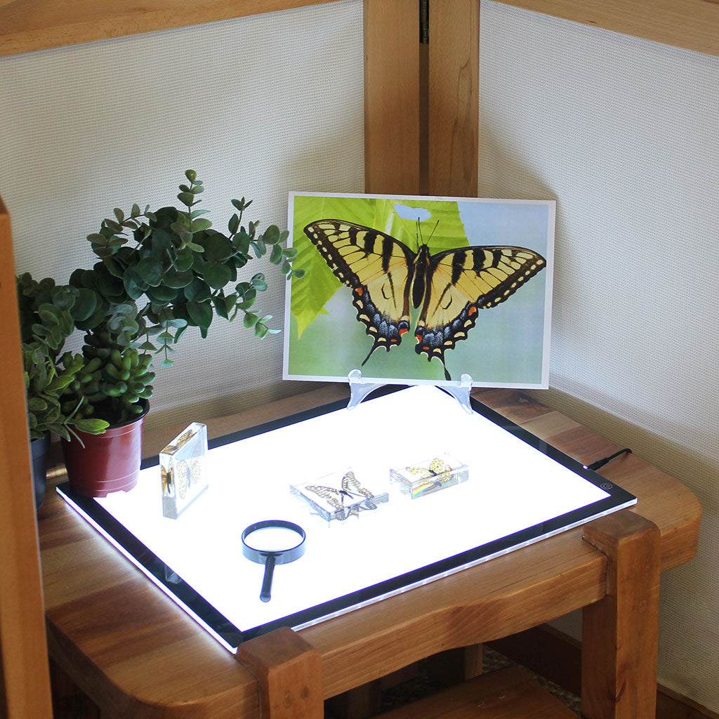 A3 Light Panel Black - V3