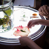 Round Light Panel Silver - V2