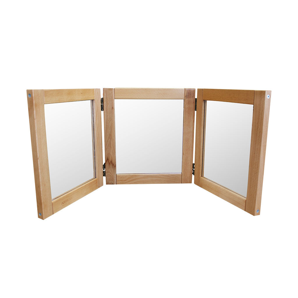 3 Panel Mirror