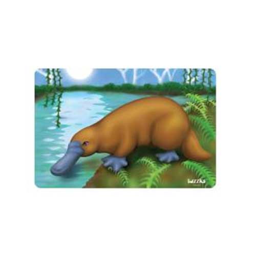 Platypus Water Puzzle