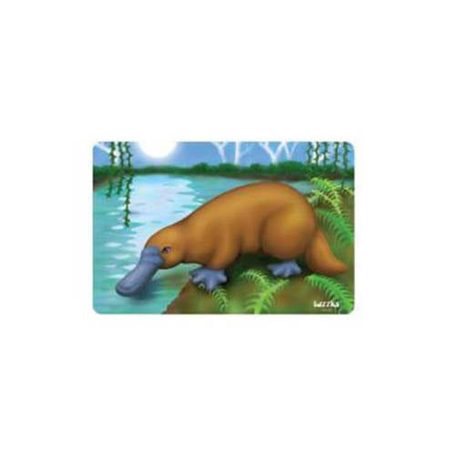 Platypus Water Puzzle