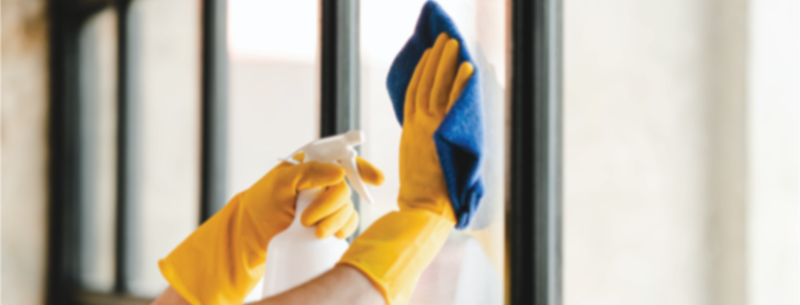 Cleaning & Janitorial Banner