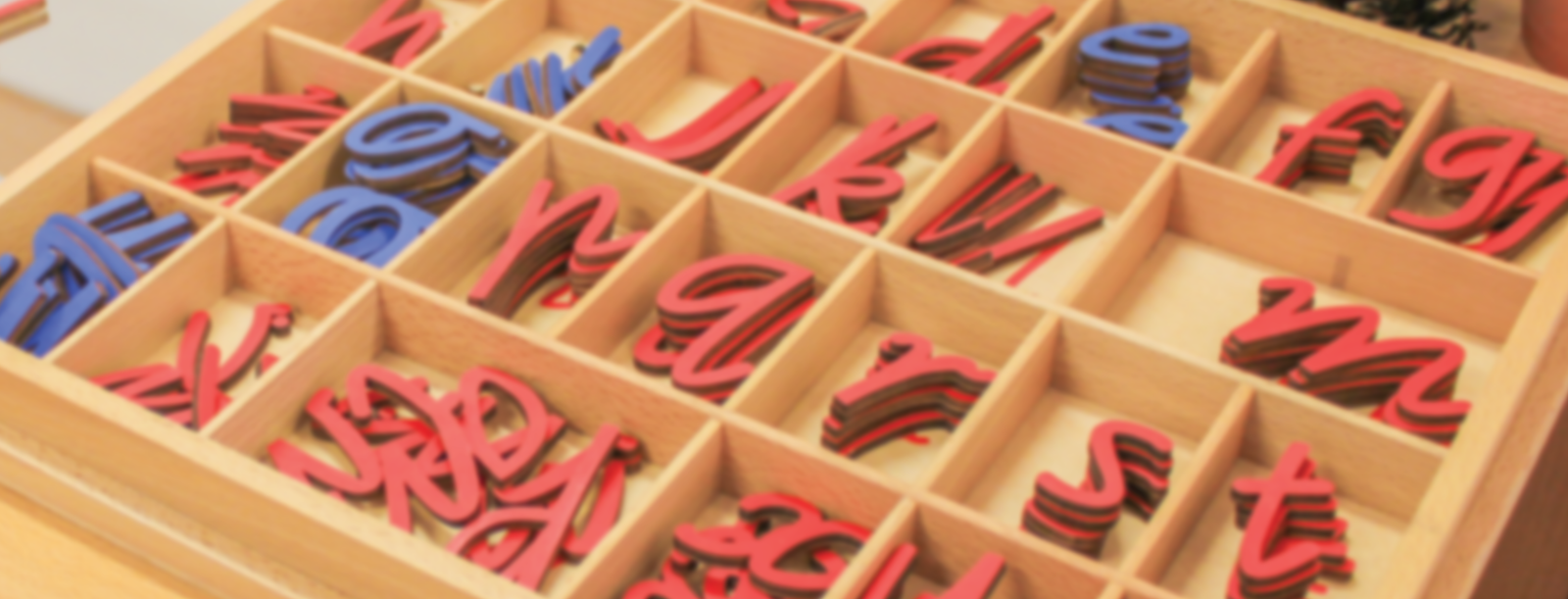 Language & Literacy Banner